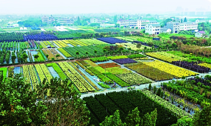 海寧市虹越國際花卉城-無人值守停車場(chǎng)系統(tǒng)